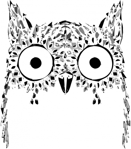 owl animal abstract