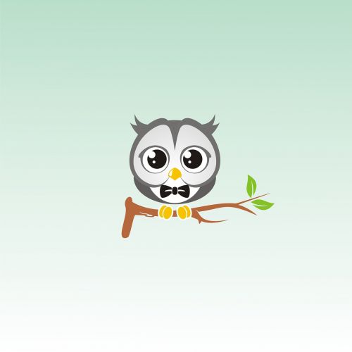 owl bird cute