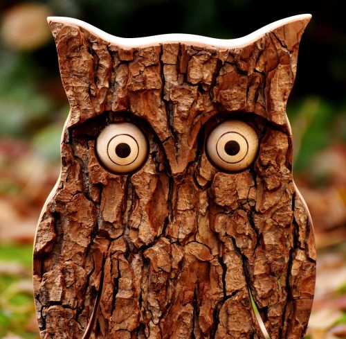 owl tree bark animal