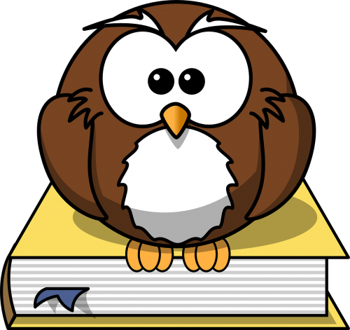 owl book animal