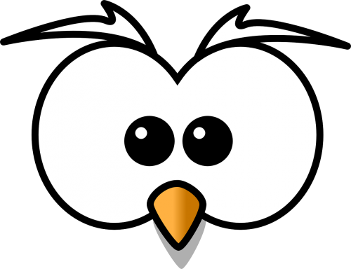 owl hoot head