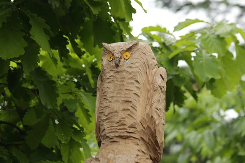 owl  sculpture  wood
