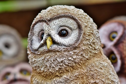 owl  figure  decoration