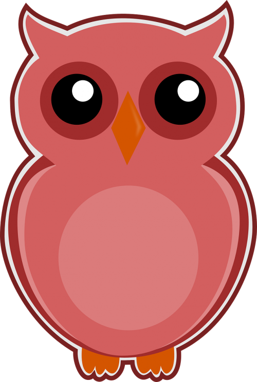 owl pink bird