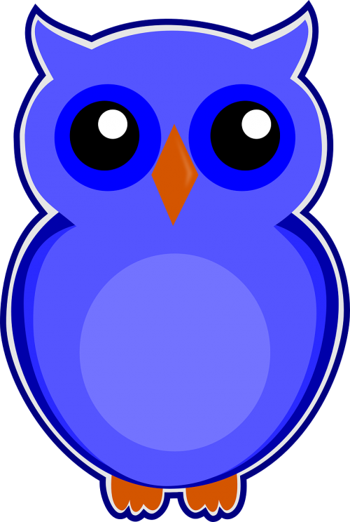 owl blue bird