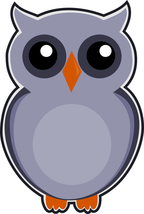 owl gray bird