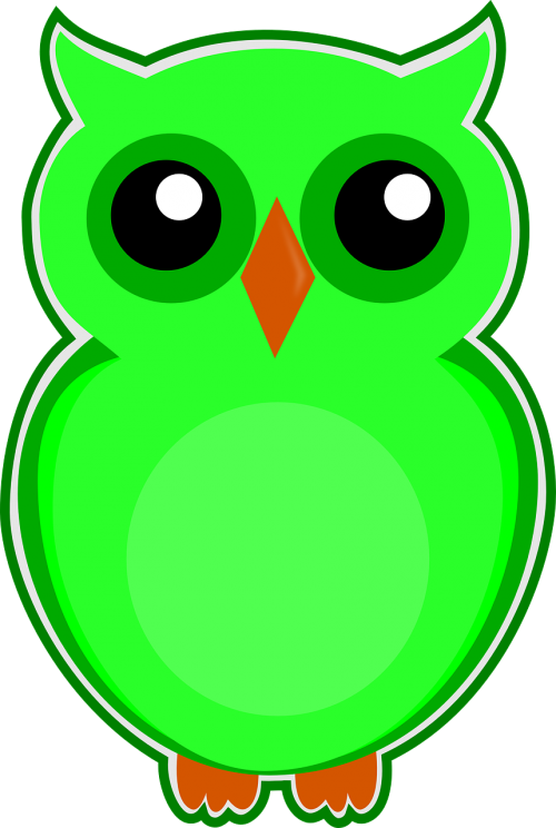 owl green bird