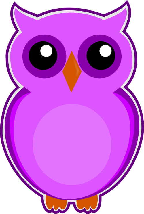 owl purple bird
