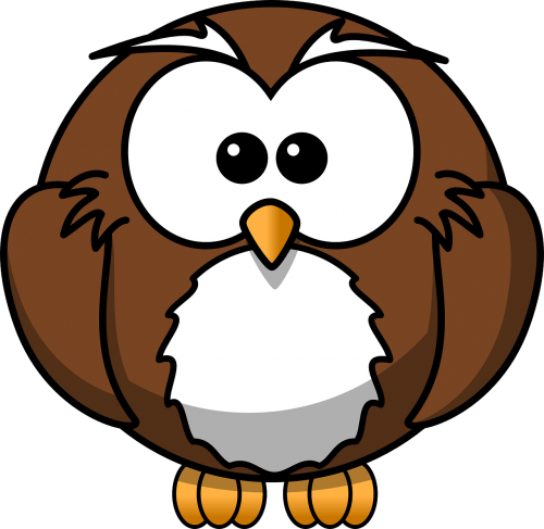 owl bird brown