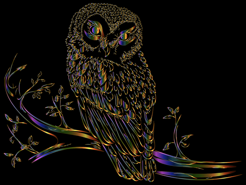owl  bird  line art
