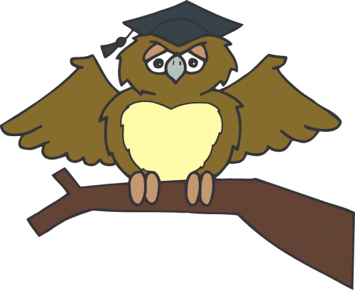 owl graduate sitting
