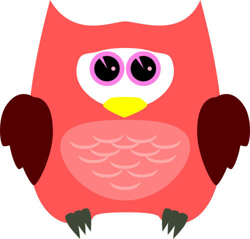 owl bird animal