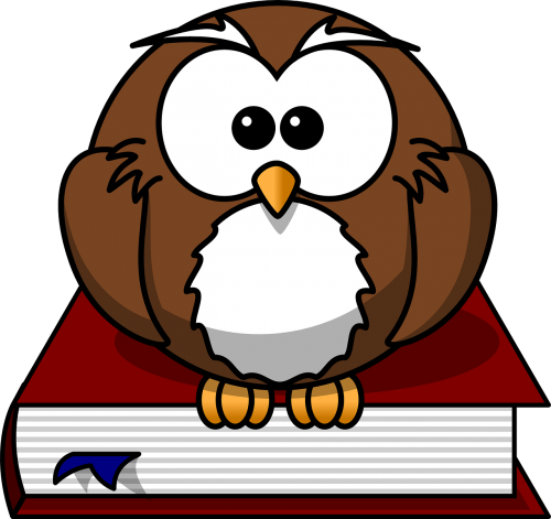 owl bird book