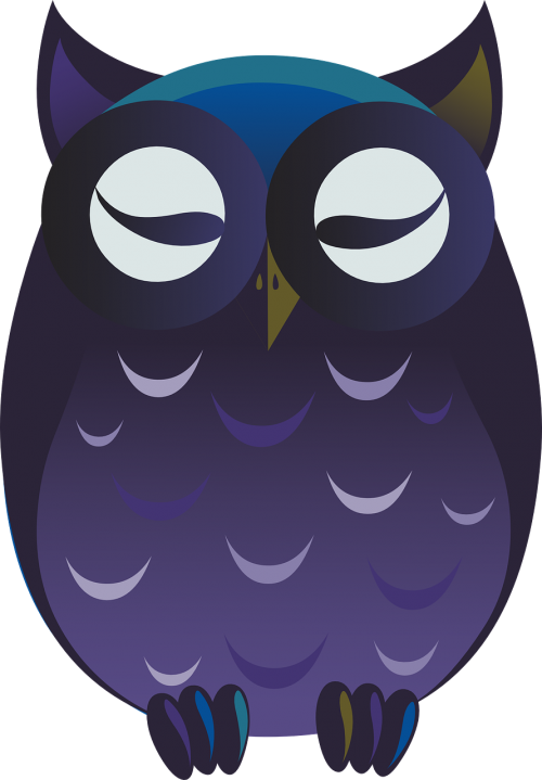 owl purple cartoon