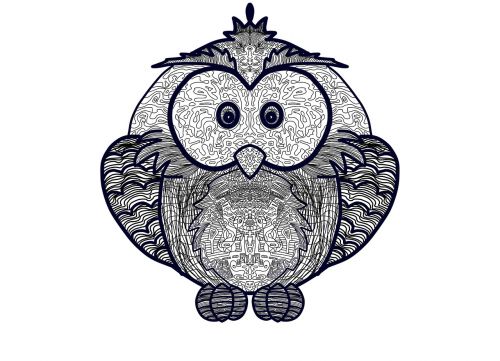 owl illustration detailed owl