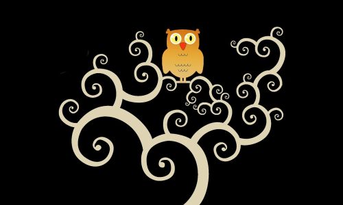 owl tree night