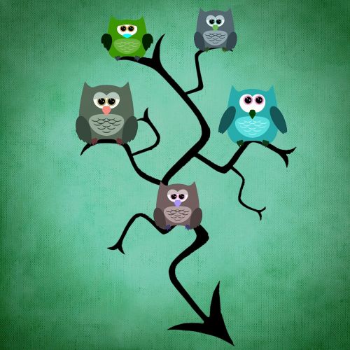 owl tree funny