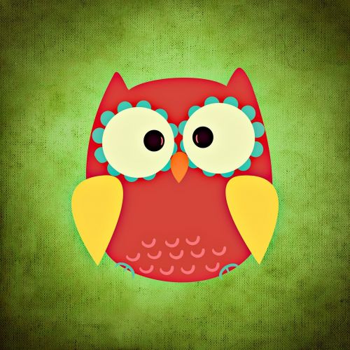 owl colorful funny