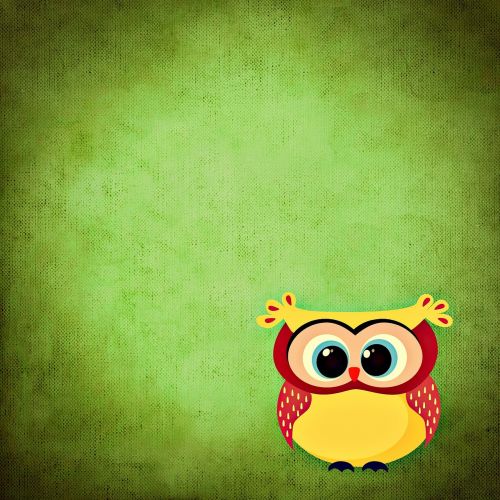 owl colorful funny