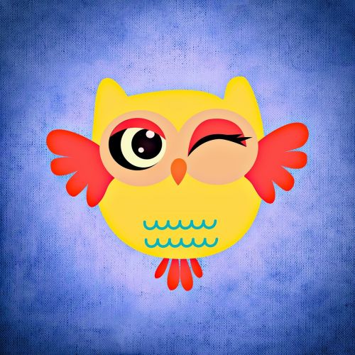 owl colorful funny