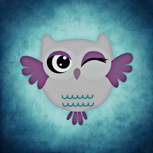 owl colorful funny