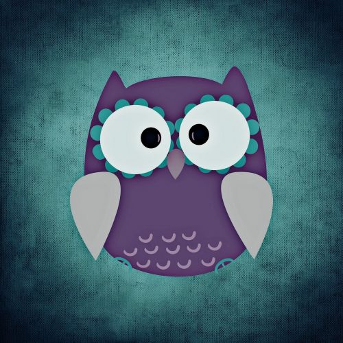 owl colorful funny