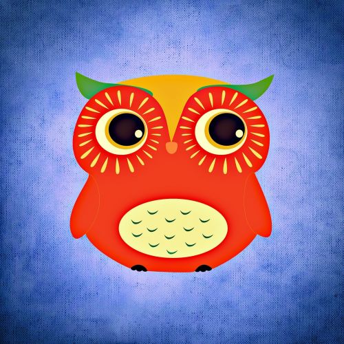 owl colorful funny