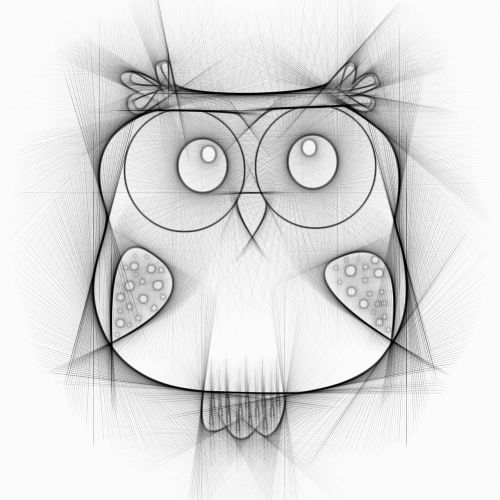 owl bird drawing