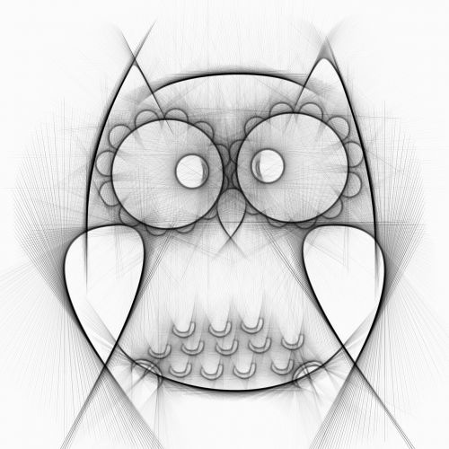 owl bird drawing