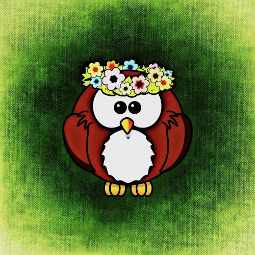 owl cute funny