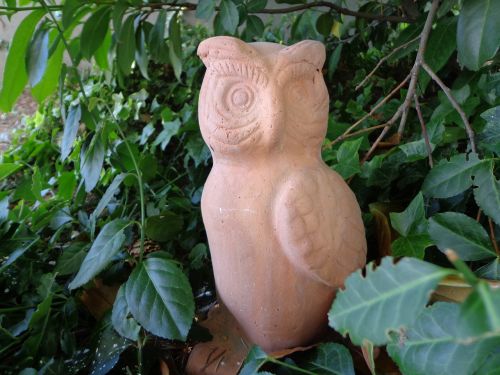 owl know wisdom