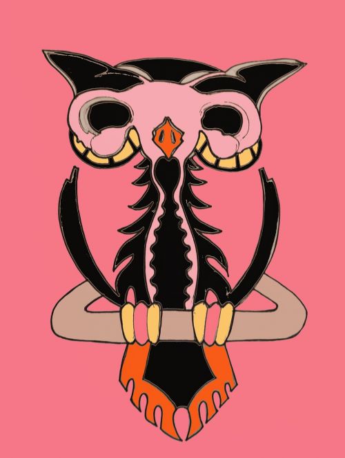 owl graphic pink
