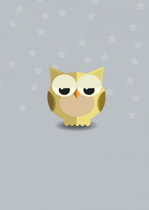 owl nature night