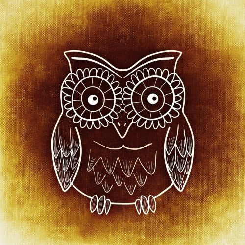 owl abstract funny