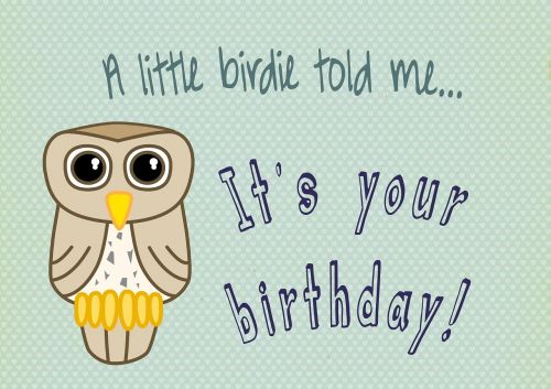 owl bird birthday