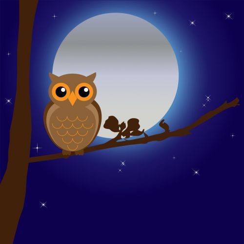 Owl By Moonlight