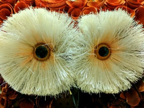 Owl Eyes Decoration