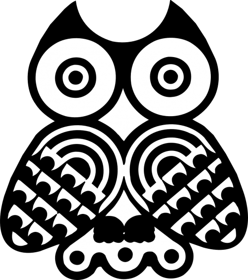 owls bird black