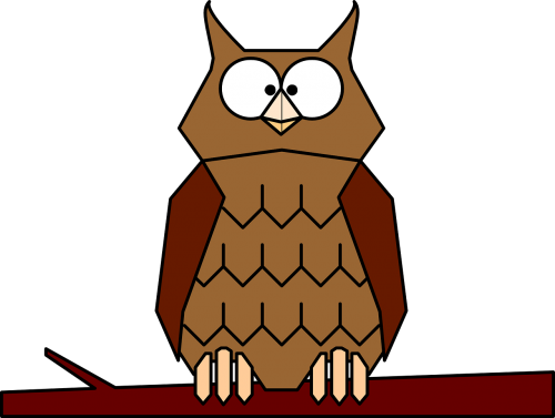 owls brown birds