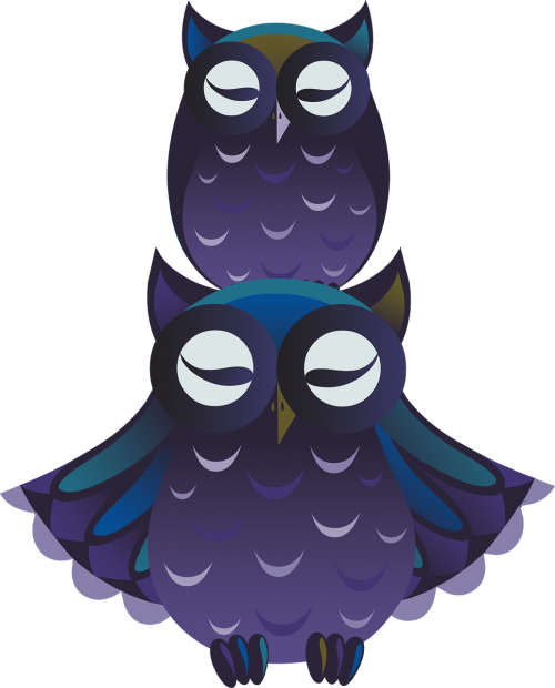 owls birds blue