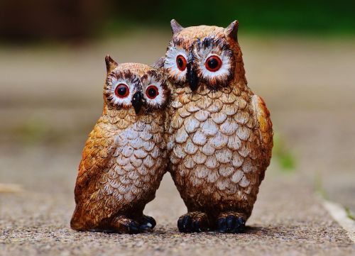 owls birds figures