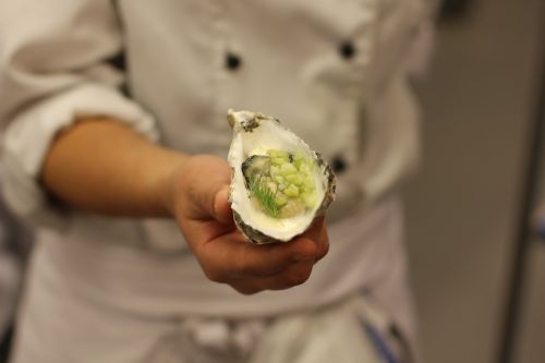 oyster seafood food