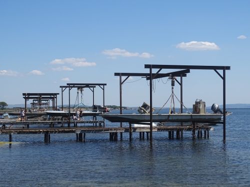 oyster pond of thau marseillan