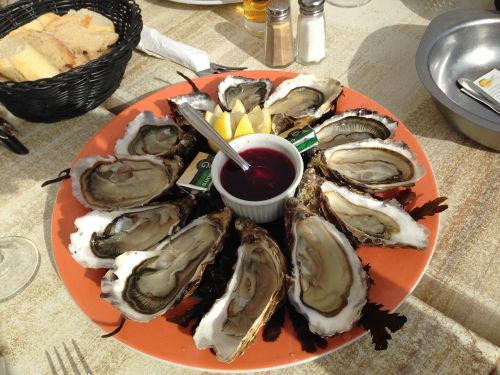 oysters ocean meals