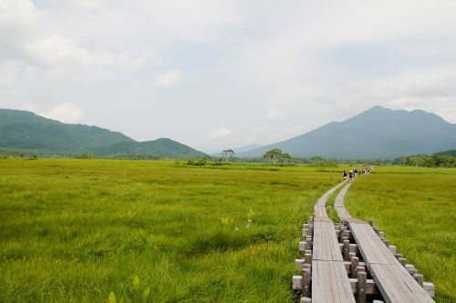 oze oze road wooden path