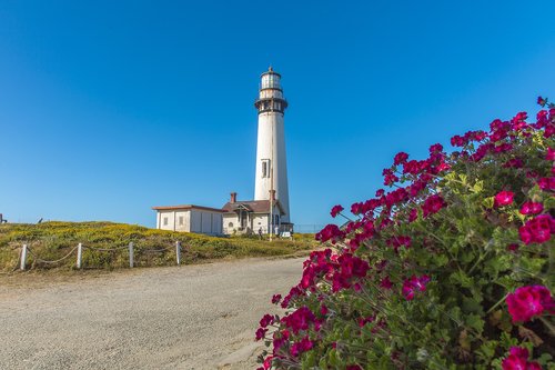 pacific  lighthouse  pigeon point