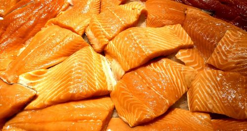 pacific wild red salmon fresh fish