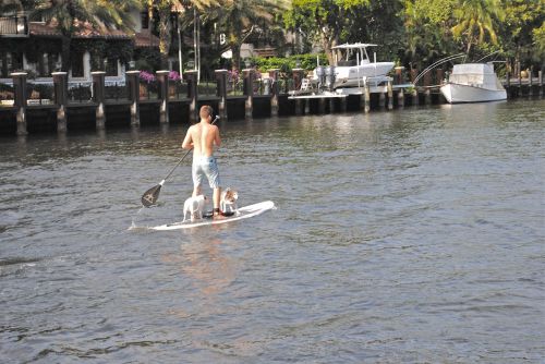 paddle board new river fort lauderdale