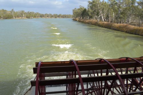 paddle boat murray river paddle