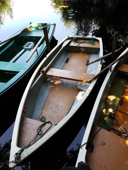 paddle boat  lake  boat